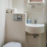 Lovely In With Wifi
